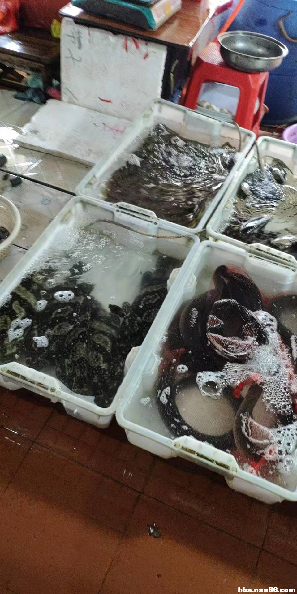 海鲜